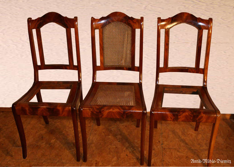 Mahagoni Stühle